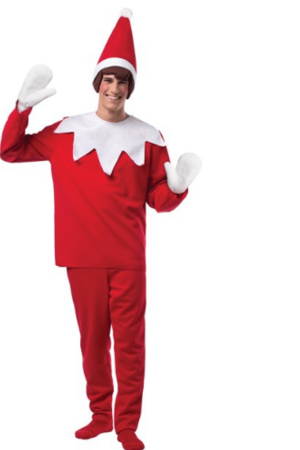 Elf On Shelf Adult Christmas Costume
