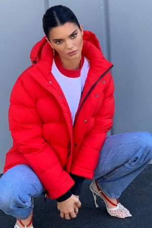 Kendall Jenner Puffer Jacket