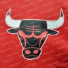 Chicago Bulls Varsity Red & Black Jacket