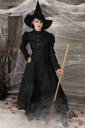 Halloween Womens Deluxe Witch Costume