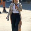 Bullet Train Maria Beetle Brown Coat