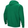 Colosseum Green Oregon Ducks Arch & Logo 3.0 Hoodie