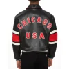 Avirex Limited Edition City Series Chicago Leather Jacket